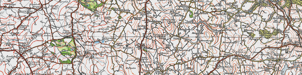 Old map of Tolcarne Wartha in 1919