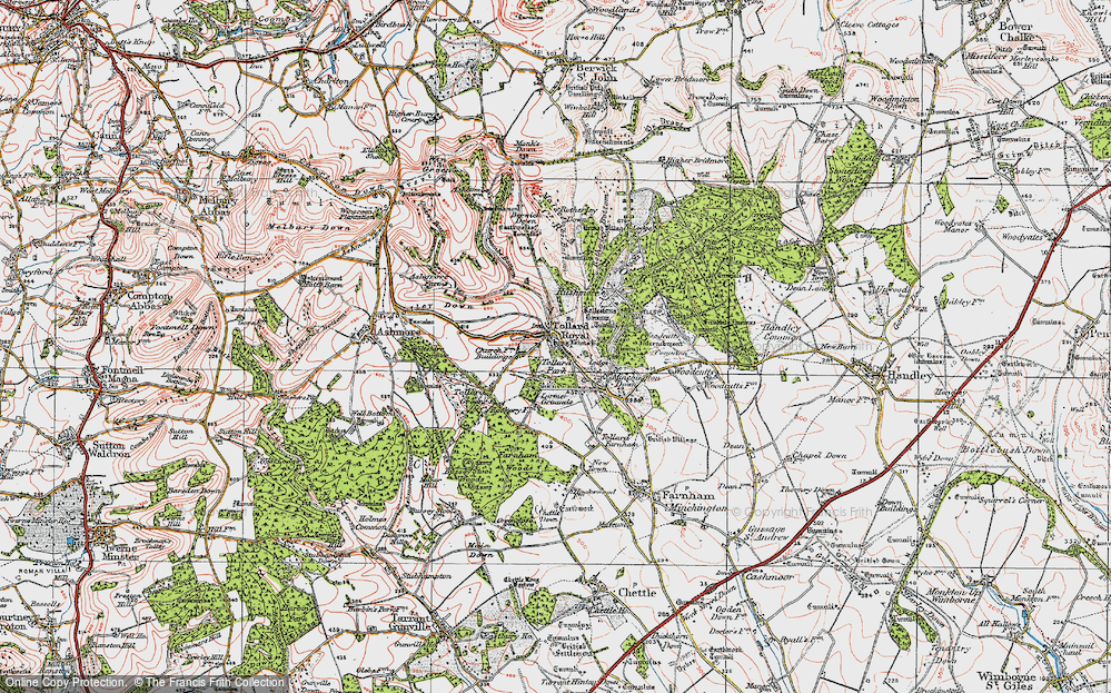 Old Map of Historic Map covering Berwick Down in 1919