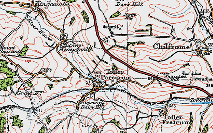 Old map of Toller Porcorum in 1919