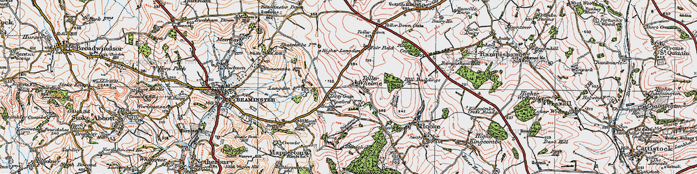 Old map of Toller Down in 1919