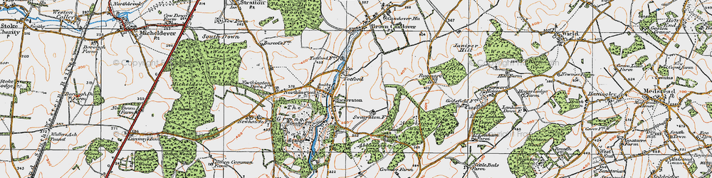 Old map of Abbotstone Down in 1919
