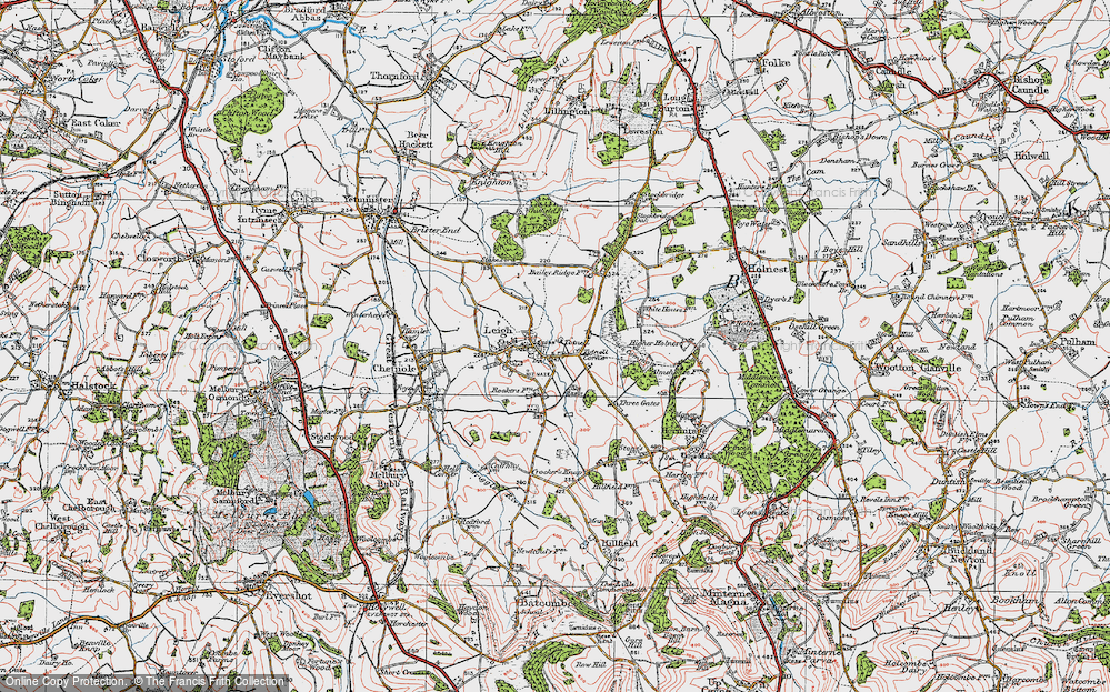 Old Map of Totnell, 1919 in 1919