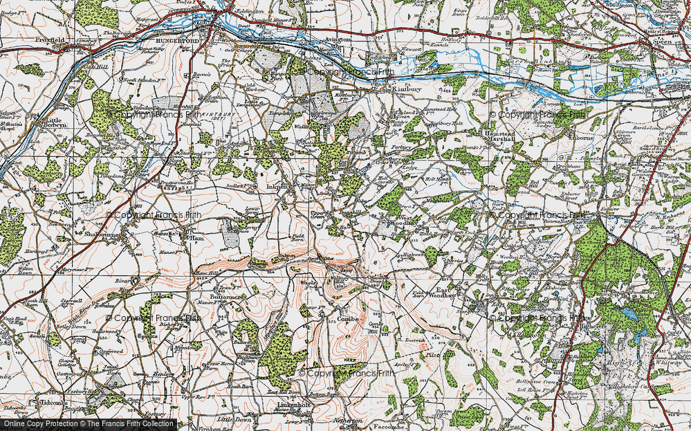 Old Map of Trapshill, 1919 in 1919