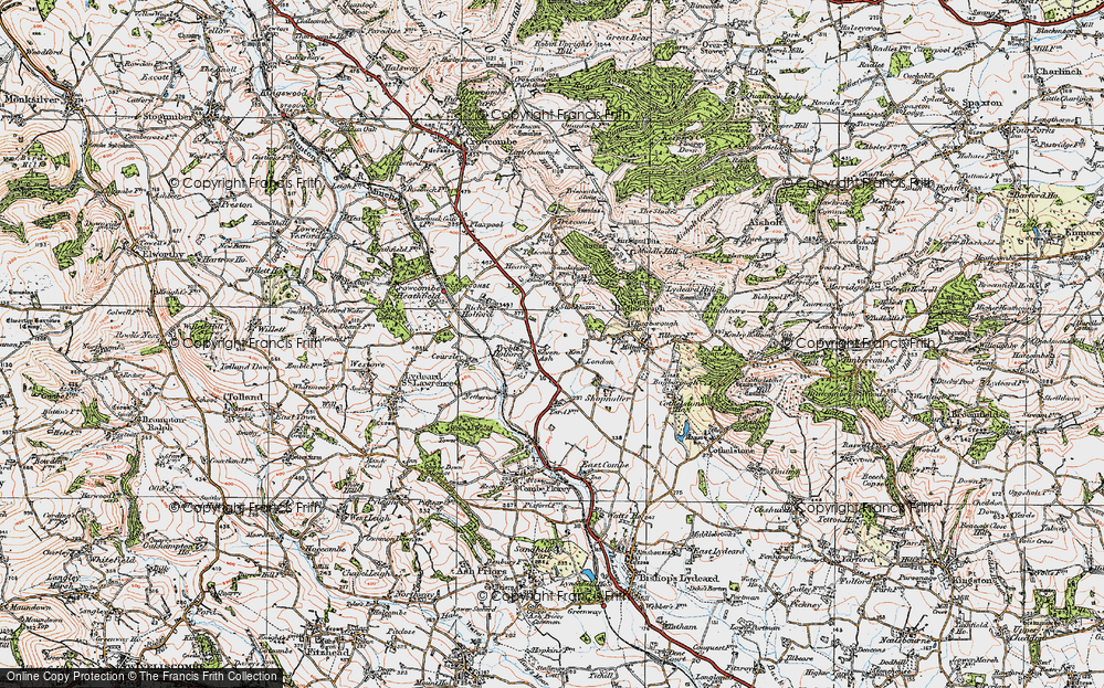 Old Map of Treble's Holford, 1919 in 1919