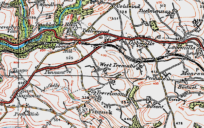 Old map of Treburgie in 1919