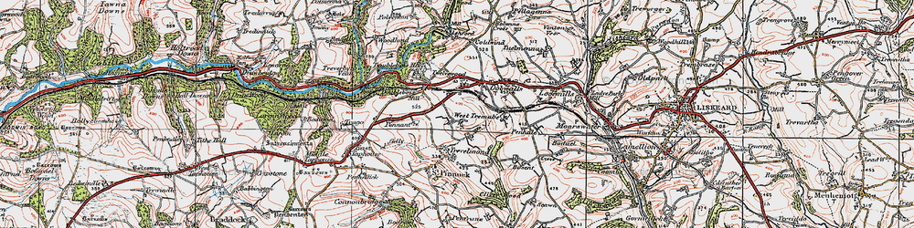 Old map of Treburgie in 1919