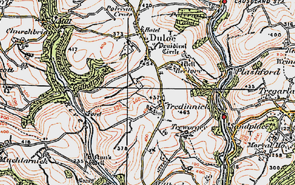 Old map of Tredinnick in 1919