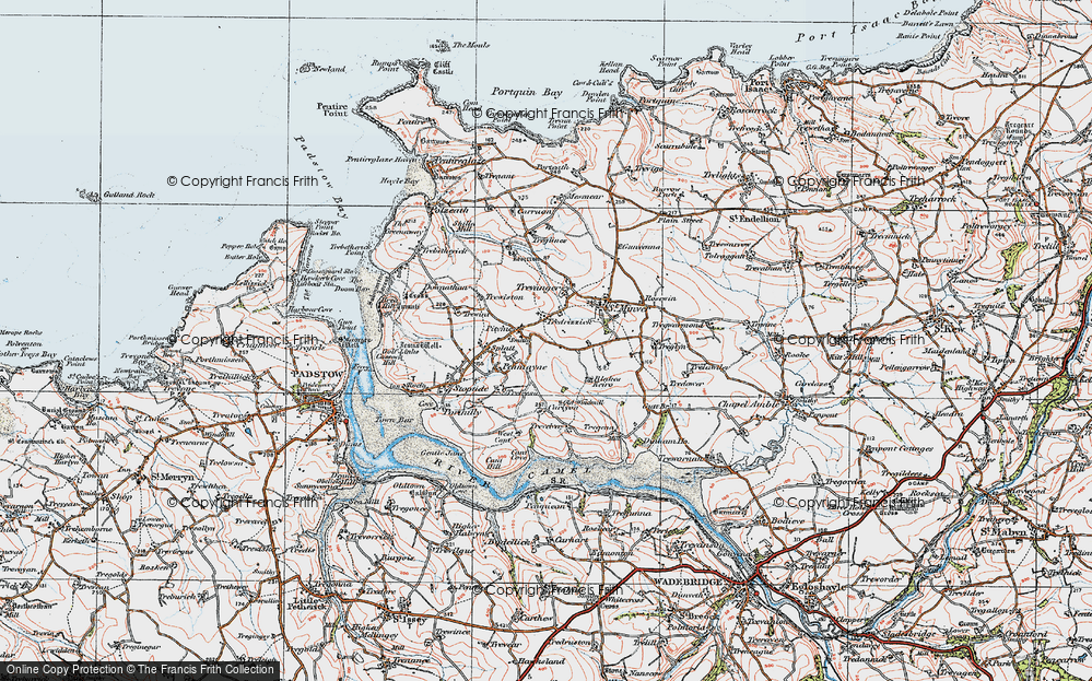Old Map of Tredrizzick, 1919 in 1919