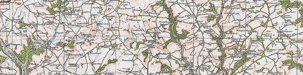 Old map of Trefanny Hill in 1919