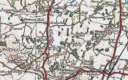 Old map of Treflach in 1921