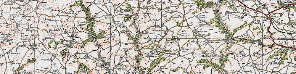 Old map of Wringworthy in 1919