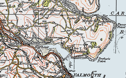 Old map of Tregew in 1919