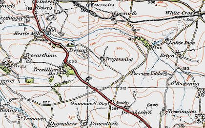Old map of Tregonning in 1919