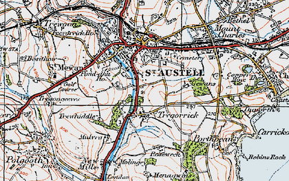 Old map of Tregorrick in 1919