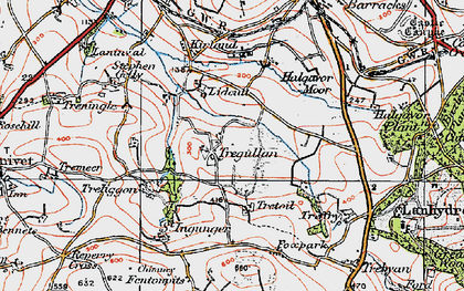 Old map of Tregullon in 1919