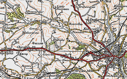 Old map of Treliske in 1919