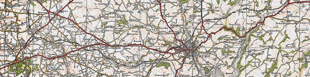 Old map of Treliske in 1919
