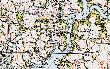Old map of Trelissick in 1919