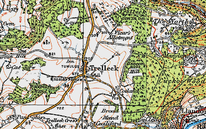 Old map of Trelleck Common in 1919