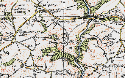 Old map of Trelowia in 1919