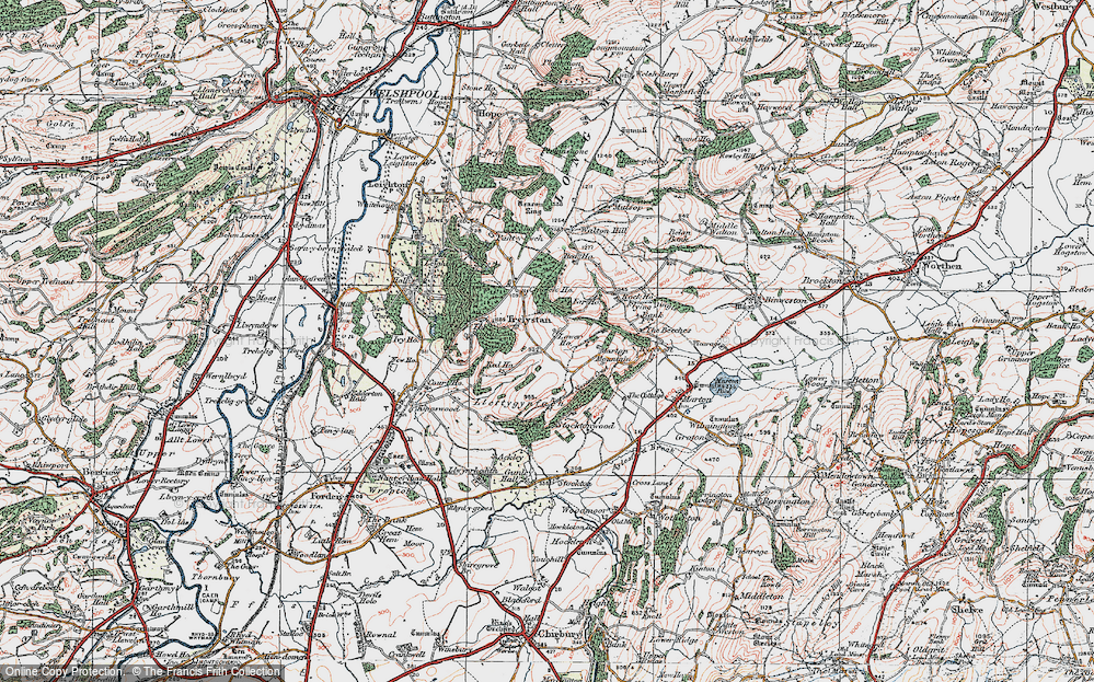 Old Map of Trelystan, 1921 in 1921