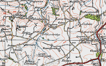 Old map of Tremore in 1919