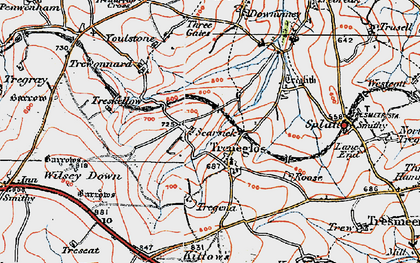 Old map of Treneglos in 1919