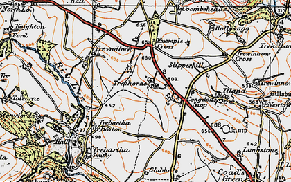 Old map of Trenhorne in 1919