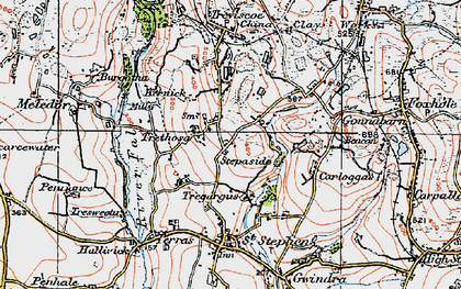 Old map of Trethosa in 1919