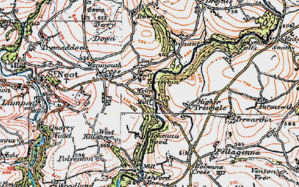 Old map of Treverbyn in 1919