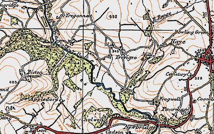 Old map of Trevigro in 1919