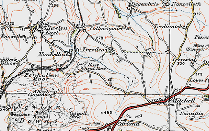 Old map of Trevilson in 1919
