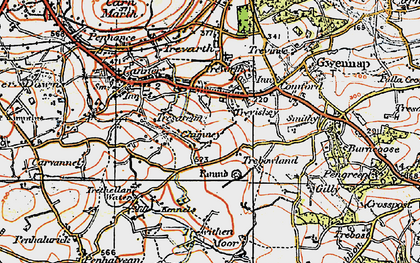Old map of Treviskey in 1919