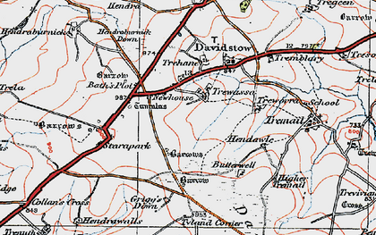 Old map of Trewassa in 1919