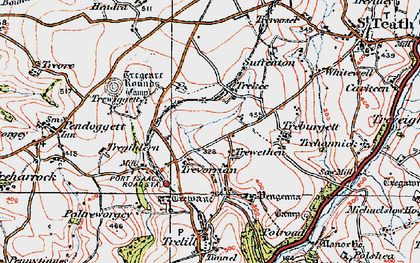 Old map of Trewethen in 1919