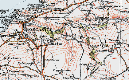 Old map of Trewannett in 1919