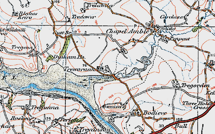 Old map of Trewornan in 1919