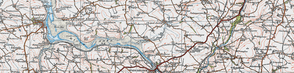 Old map of Trewornan in 1919