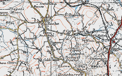 Old map of Trezaise in 1919