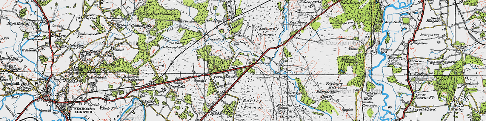 Old map of Trickett's Cross in 1919