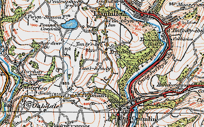 Old map of Trinant in 1919