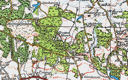 Old map of Trotten Marsh in 1919
