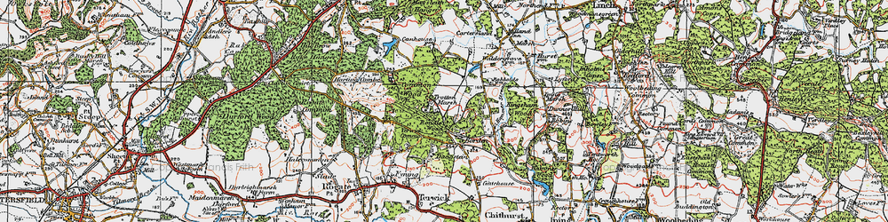 Old map of Trotten Marsh in 1919