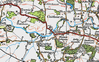 Old map of Trotton in 1919