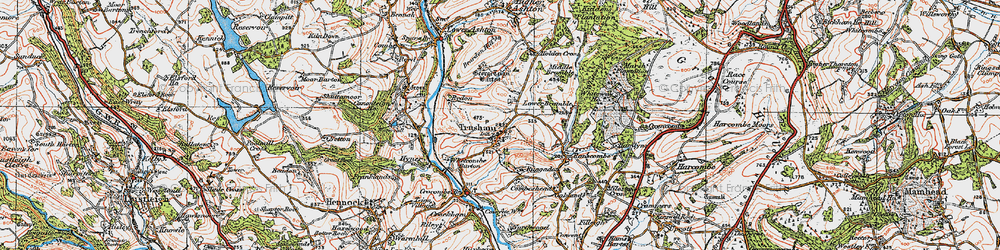 Old map of Trusham in 1919
