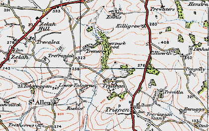 Old map of Tolcarne in 1919