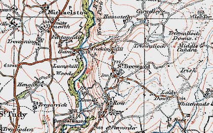 Old map of Tuckingmill in 1919