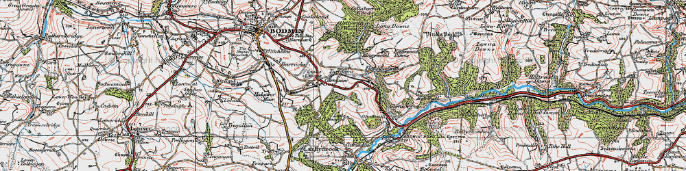 Old map of Turfdown in 1919