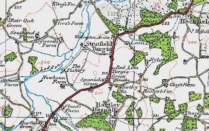 Old map of Turgis Green in 1919