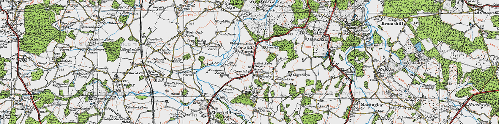 Old map of Turgis Green in 1919